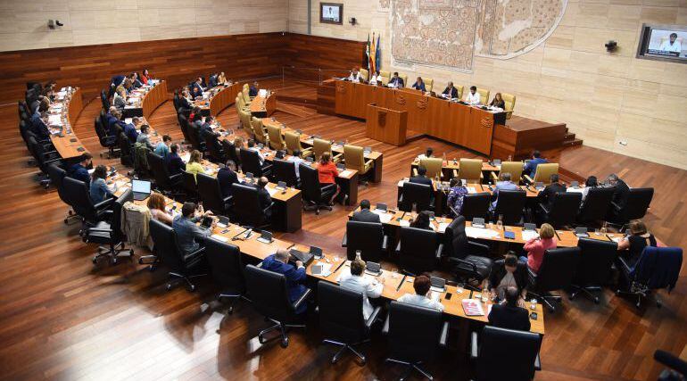 Pleno de la Asamblea de Extremadura