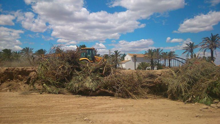 Las máquinas retiraron hace unos días la basura acumulada en el límite de la huerta con la playa y a escasos metros del paraje de la Ermita dels Peixets