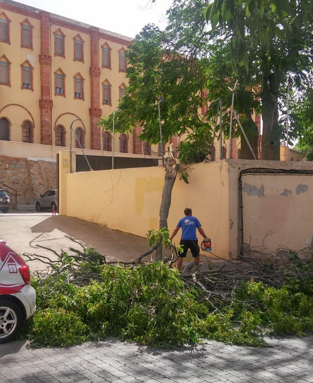 Estado del arbol caído en la acera de la Plaza Somorrostro