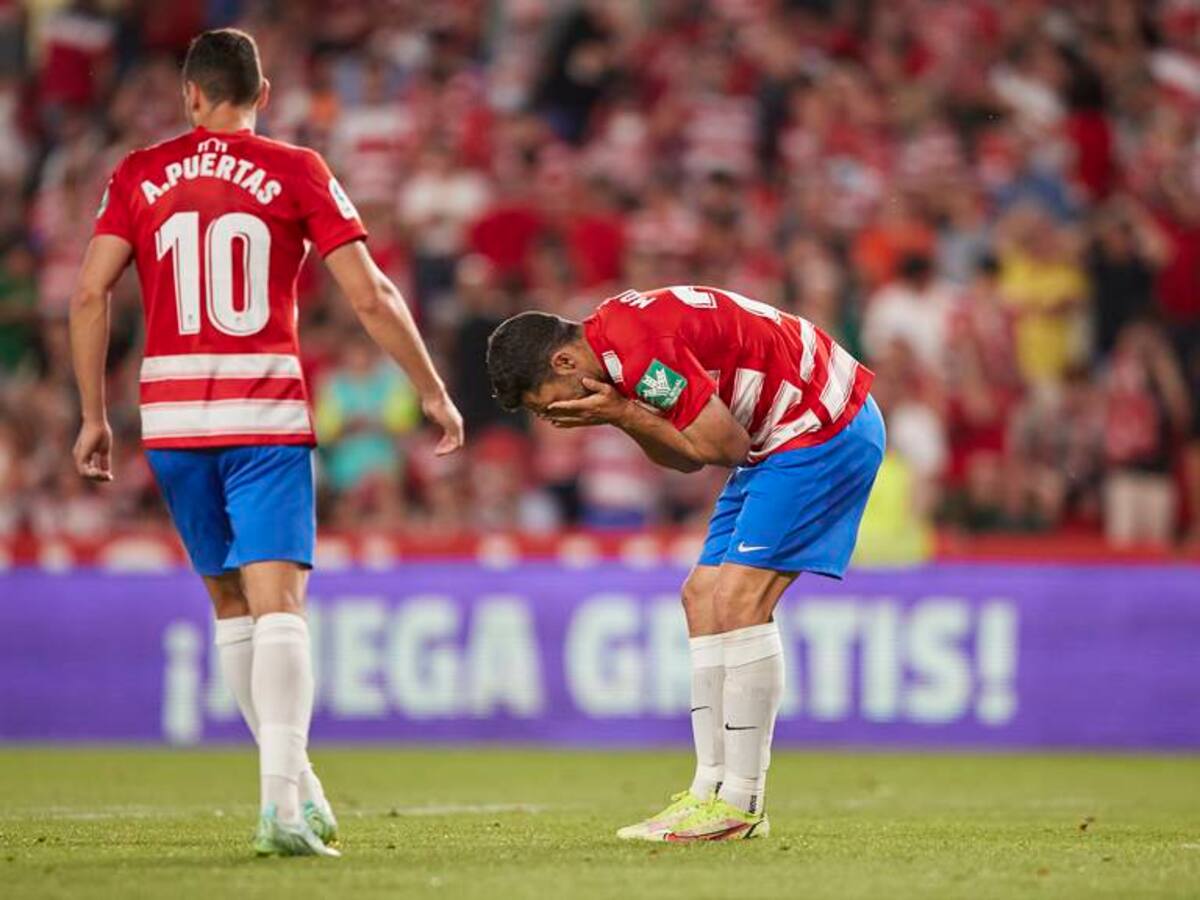 Un tonto anda suelto