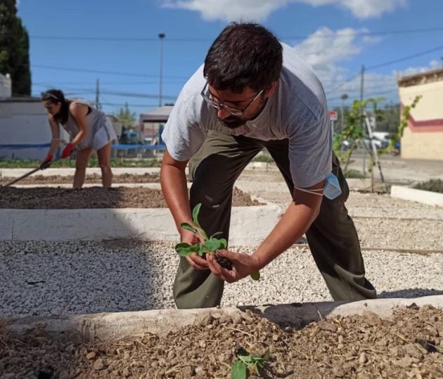 Huerto en el barrio alicantino del Cementario