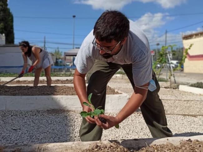 Huerto en el barrio alicantino del Cementario