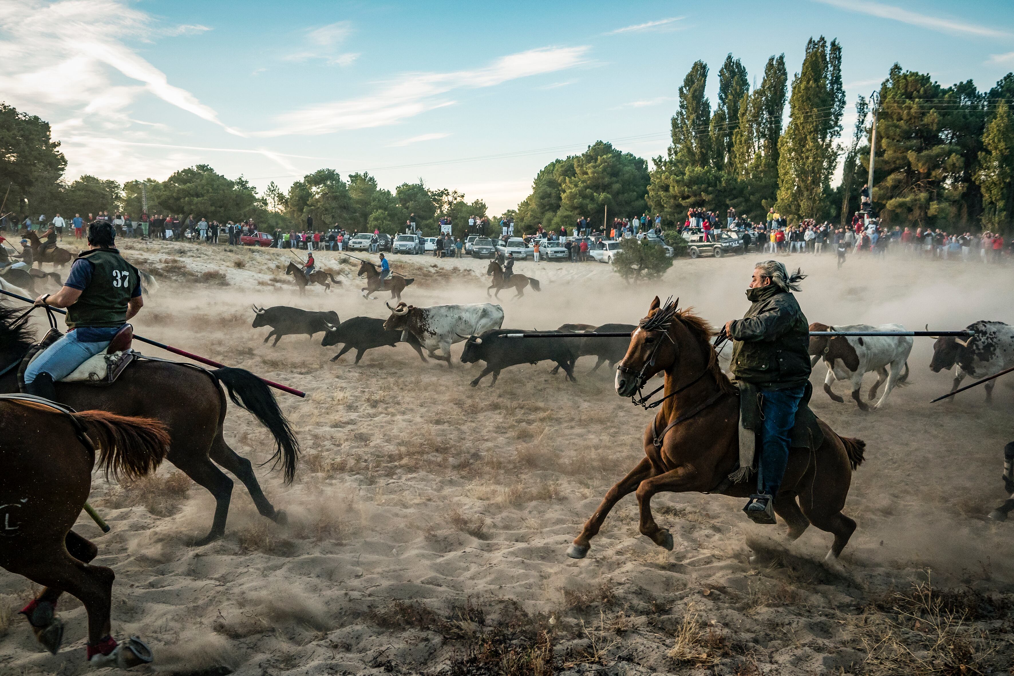 Segundo premio del XXXV Concurso Fotográfico Fiestas de Cuéllar 2023