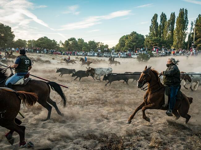 Segundo premio del XXXV Concurso Fotográfico Fiestas de Cuéllar 2023