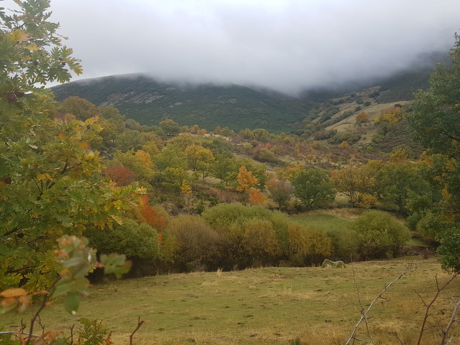 Garganta de Hornos