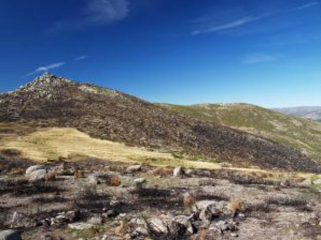 Paraje afectado por el incendio.