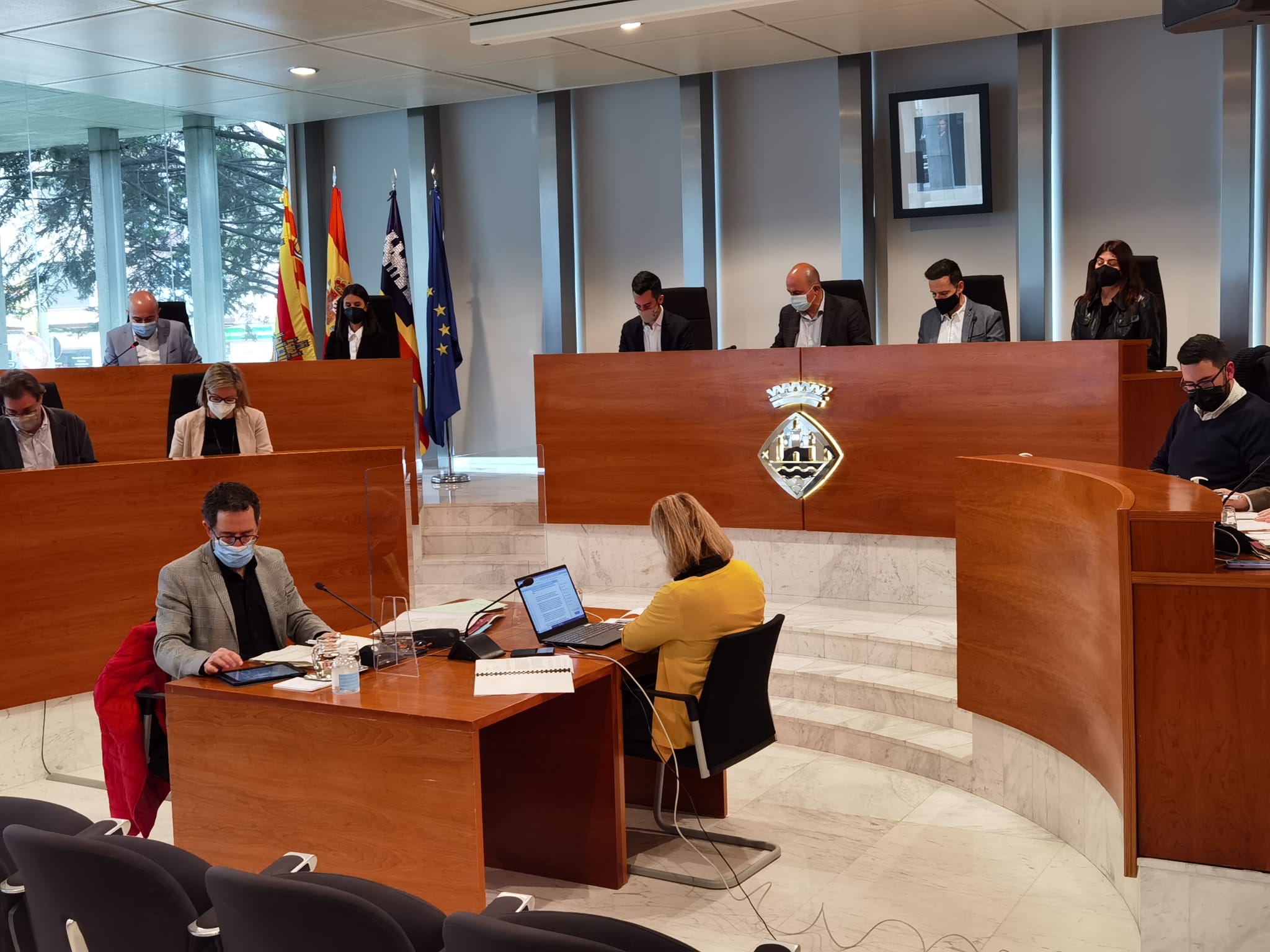 Imagen del pleno del Consell de Ibiza