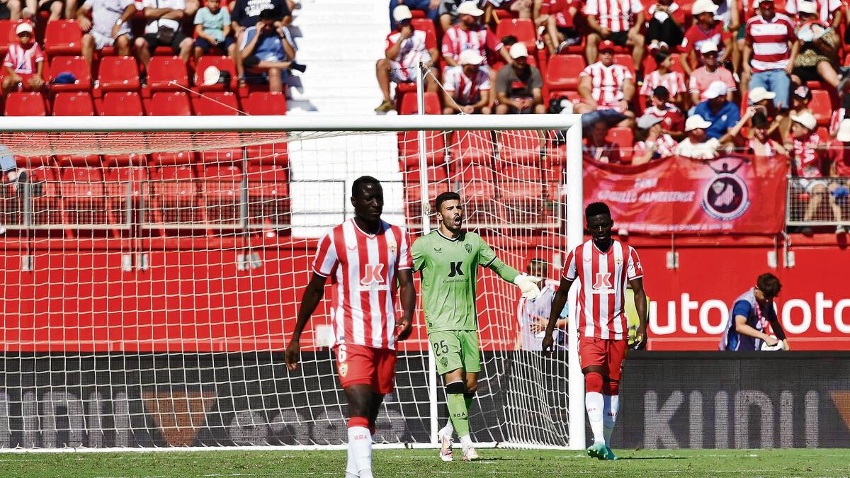 Colista y mucho de novato