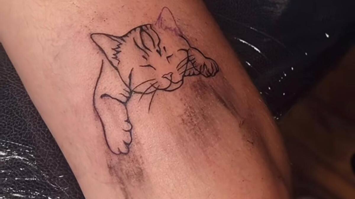 El estudio de Zaragoza que está tatuando para donar lo recaudado a una protectora de gatos