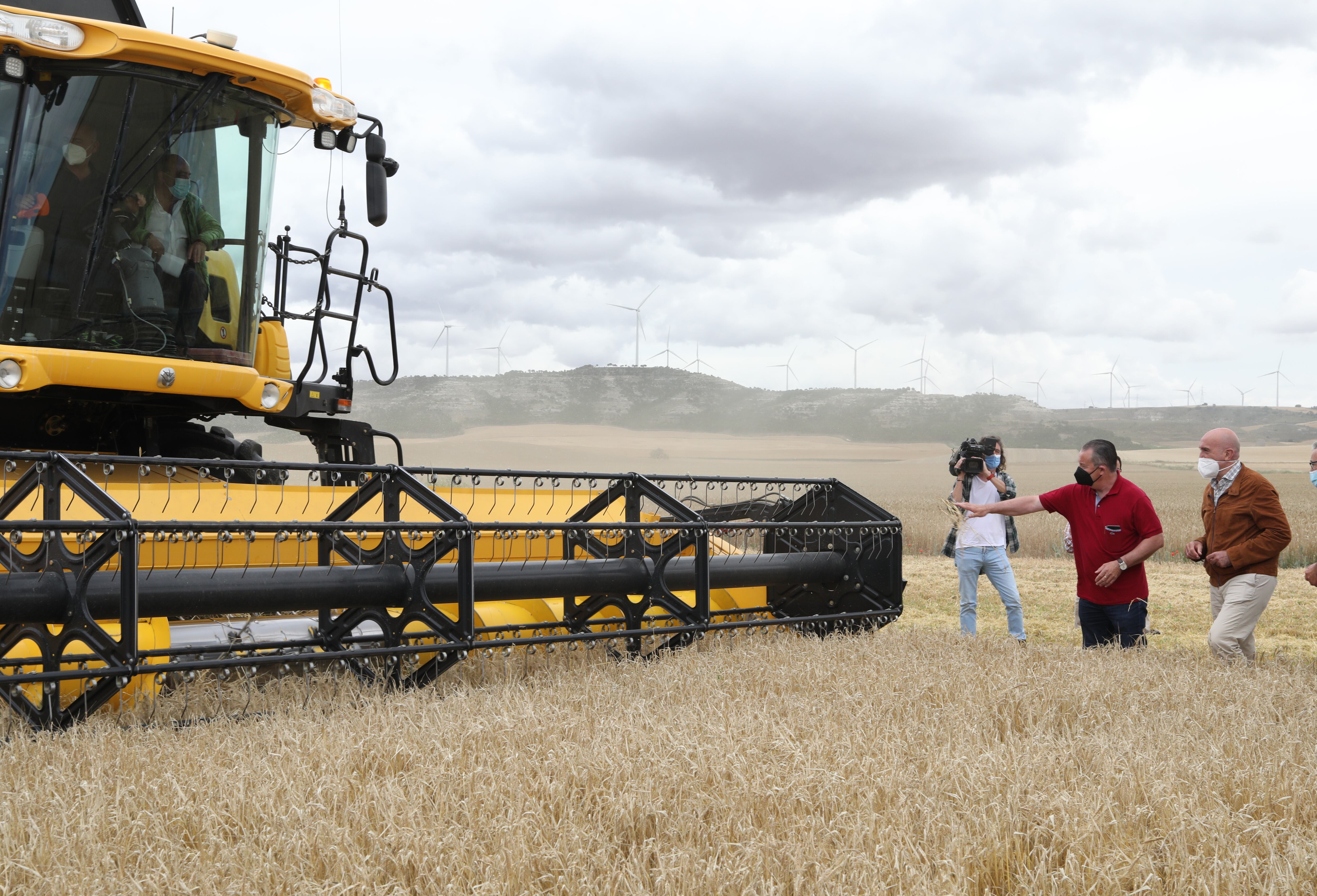 Las cosechadoras han entrado en las parcelas más adelantadas