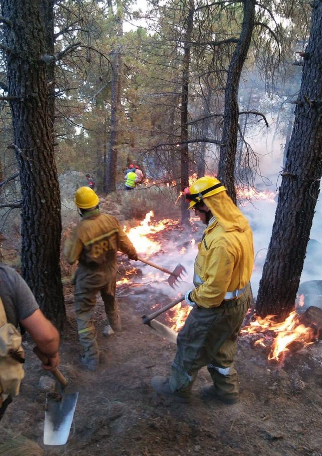 Una semana ha tardado en darse por extinguido el incendio