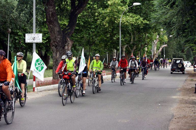 Primera Ecomarcha de la organización.