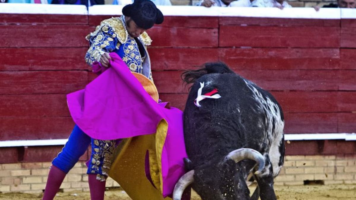 El debate taurino recorre toda la geografía española