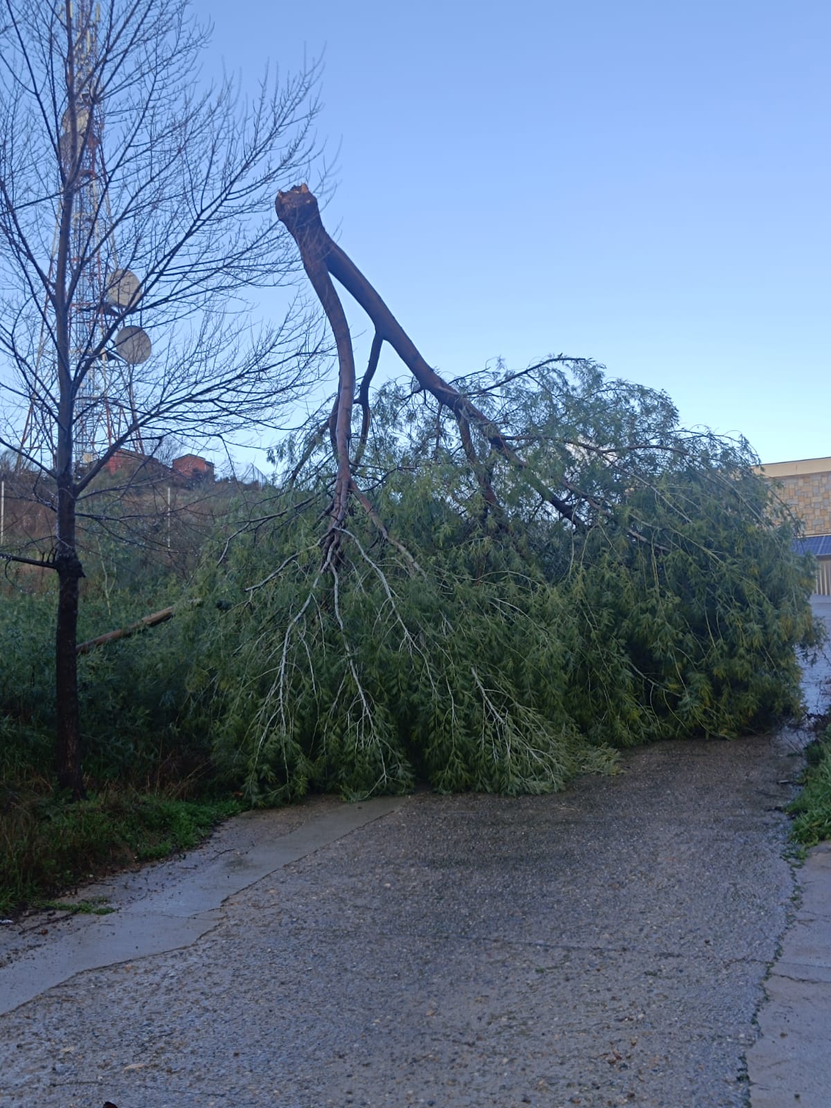 Efectos del viento en el Hospital Virgen del Puerto y Dolores Ibarruri en Plasencia en la tarde del 30 de enero de 2026