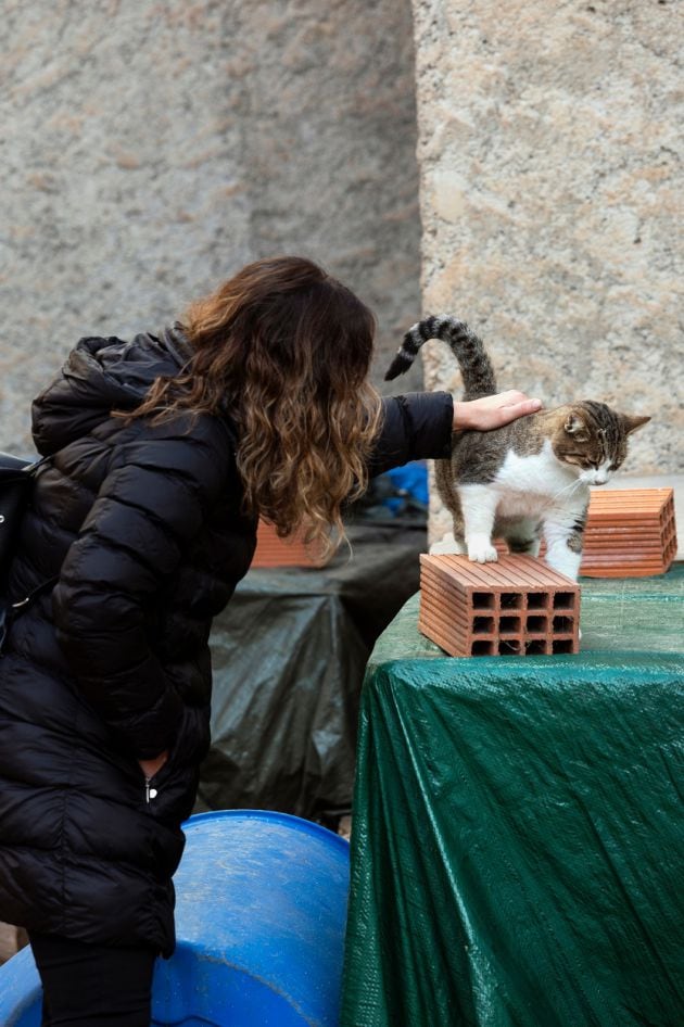 La concejala de Bienestar Animal, Gloria Tello, visita una colonia felina