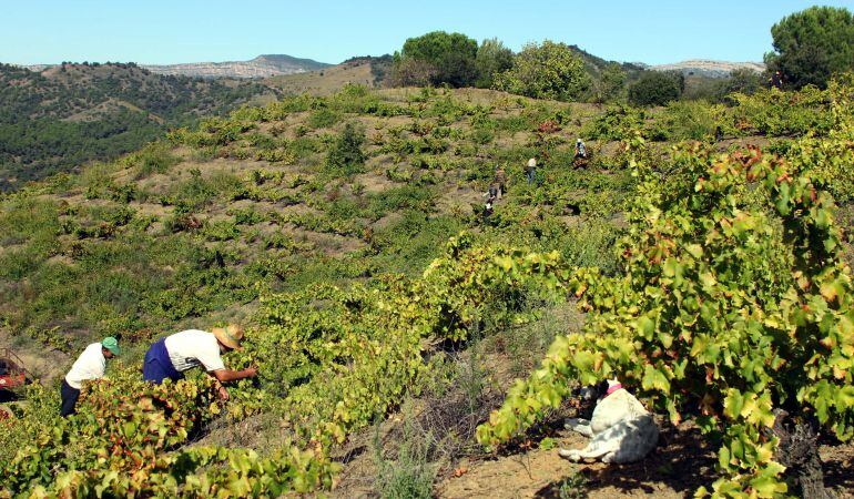 Fotograma del documental. 