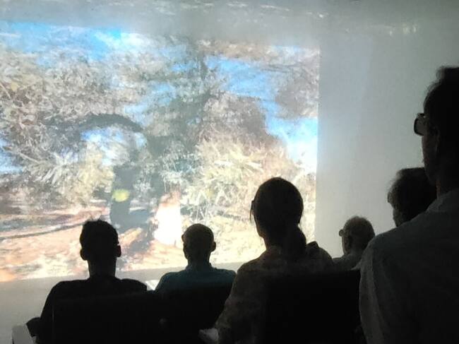 Un momento de la proyección del vídeo en Aires de Jaén.