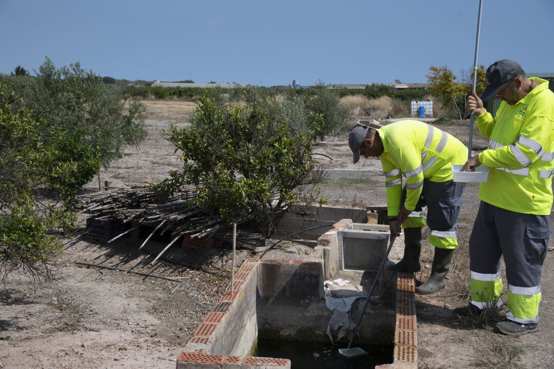 Operarios trabajando contra la plaga de los mosquitos