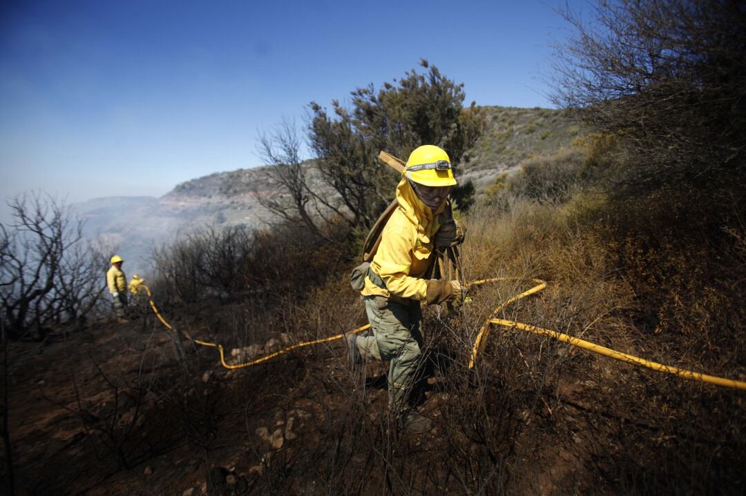 Miembros del equipo de Brifor, los bomberos forestales de Tenerife, durante una actuación en los bosques de la isla