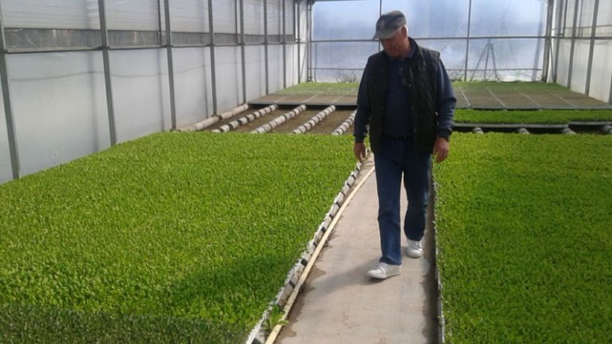 Ángel González, presidente de la Comunidad de regantes de Fuenlabrada, habla de la situación de agricultura en el día de San Isidro.