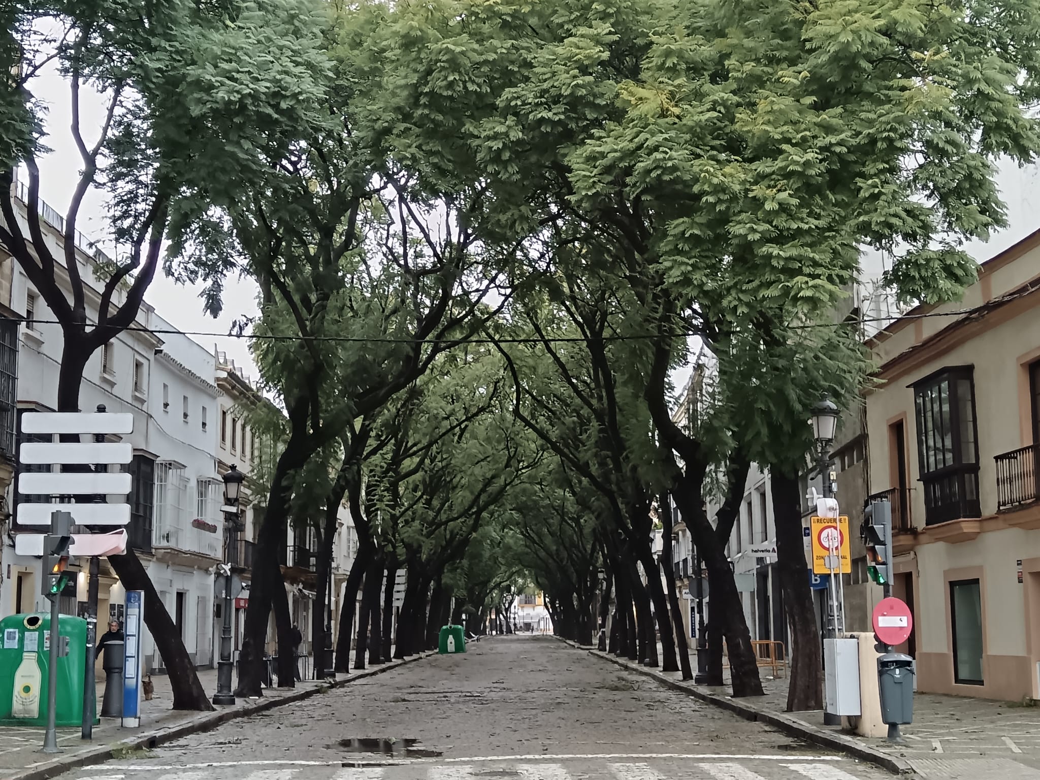 Imagen de la calle Porvera, en el centro de Jerez, este miércoles