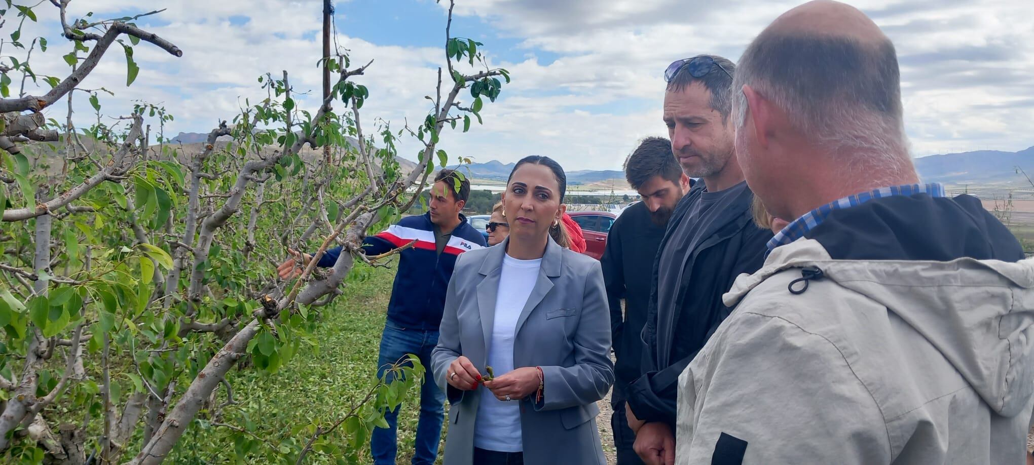 La consejera de agricultura visita la zona afectada por el pedrisco en Jumilla