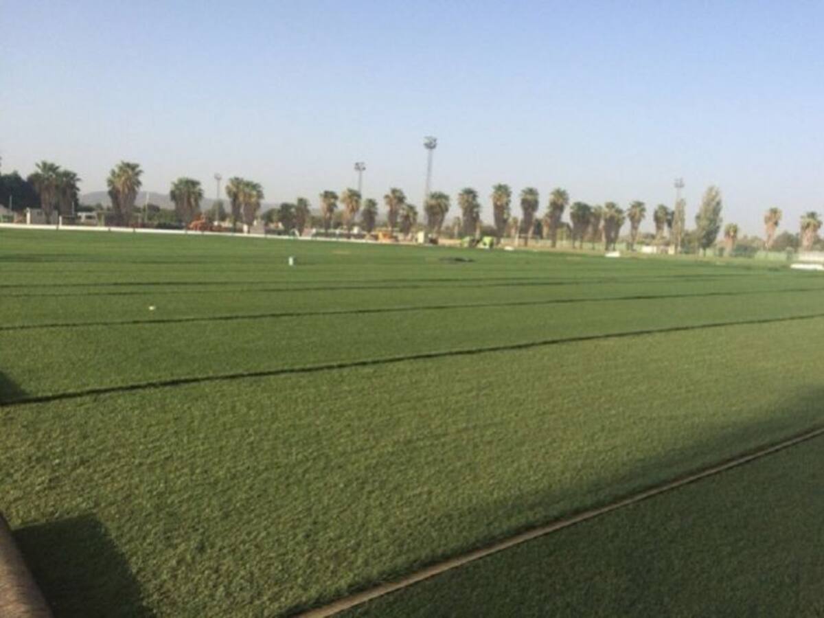 El Córdoba encuentra un aliado en el Ayuntamiento para seguir en la actual ciudad deportiva