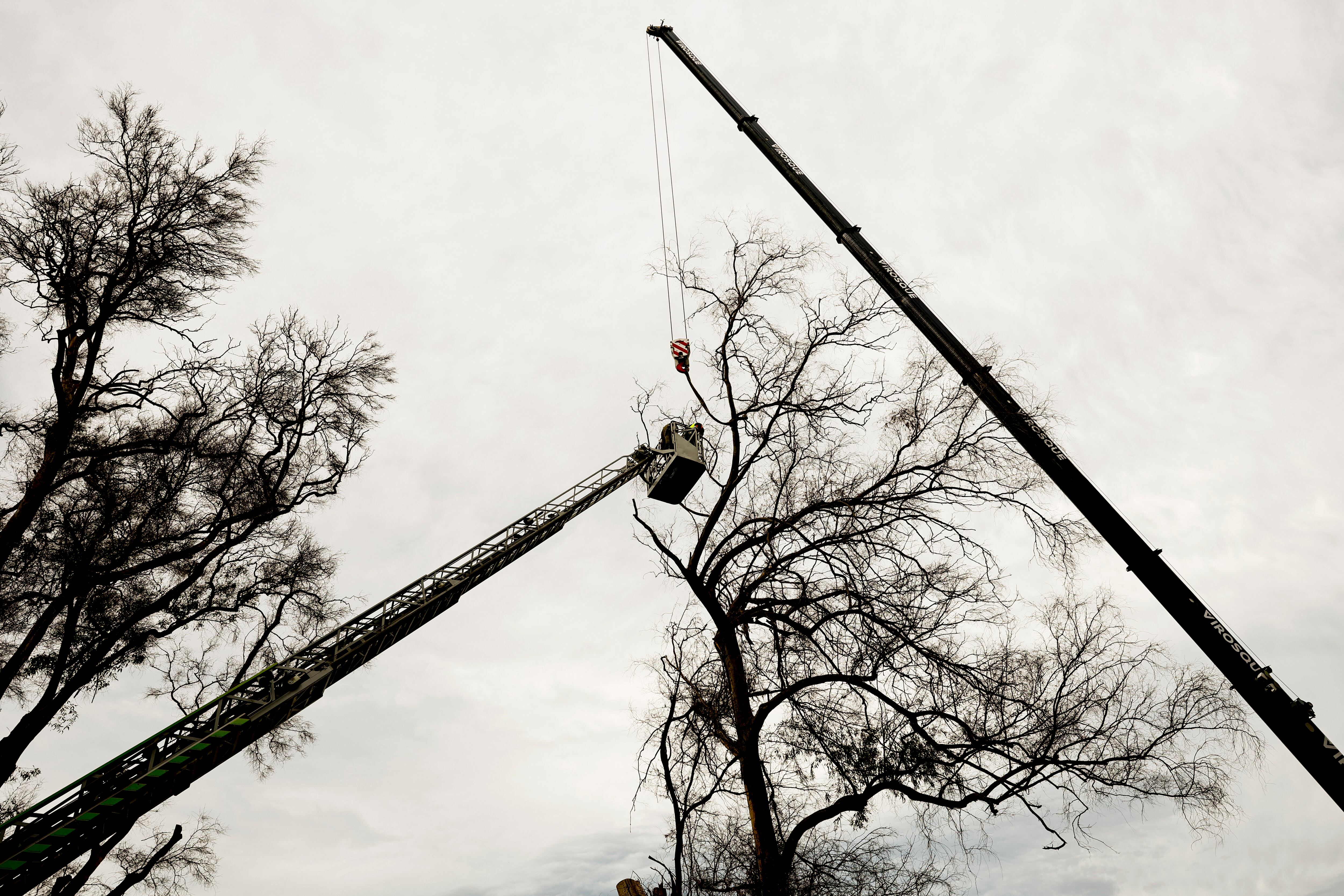 Actuaciones por el temporal de viento