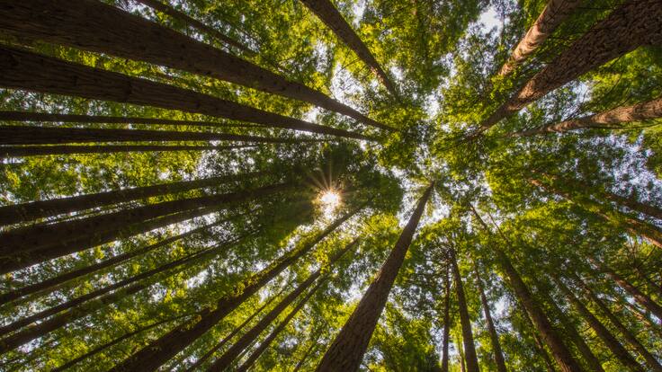 Entrevista con Jon Hidalgo, de 'Kolore guztietako basoak', en 'Hora 14 Euskadi'