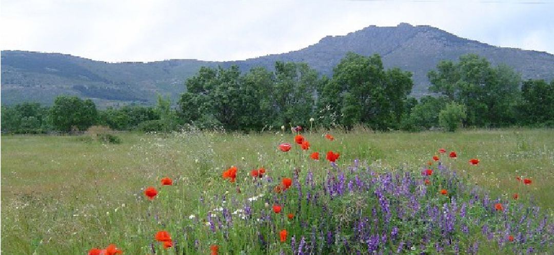 Sierra de Guadarrama