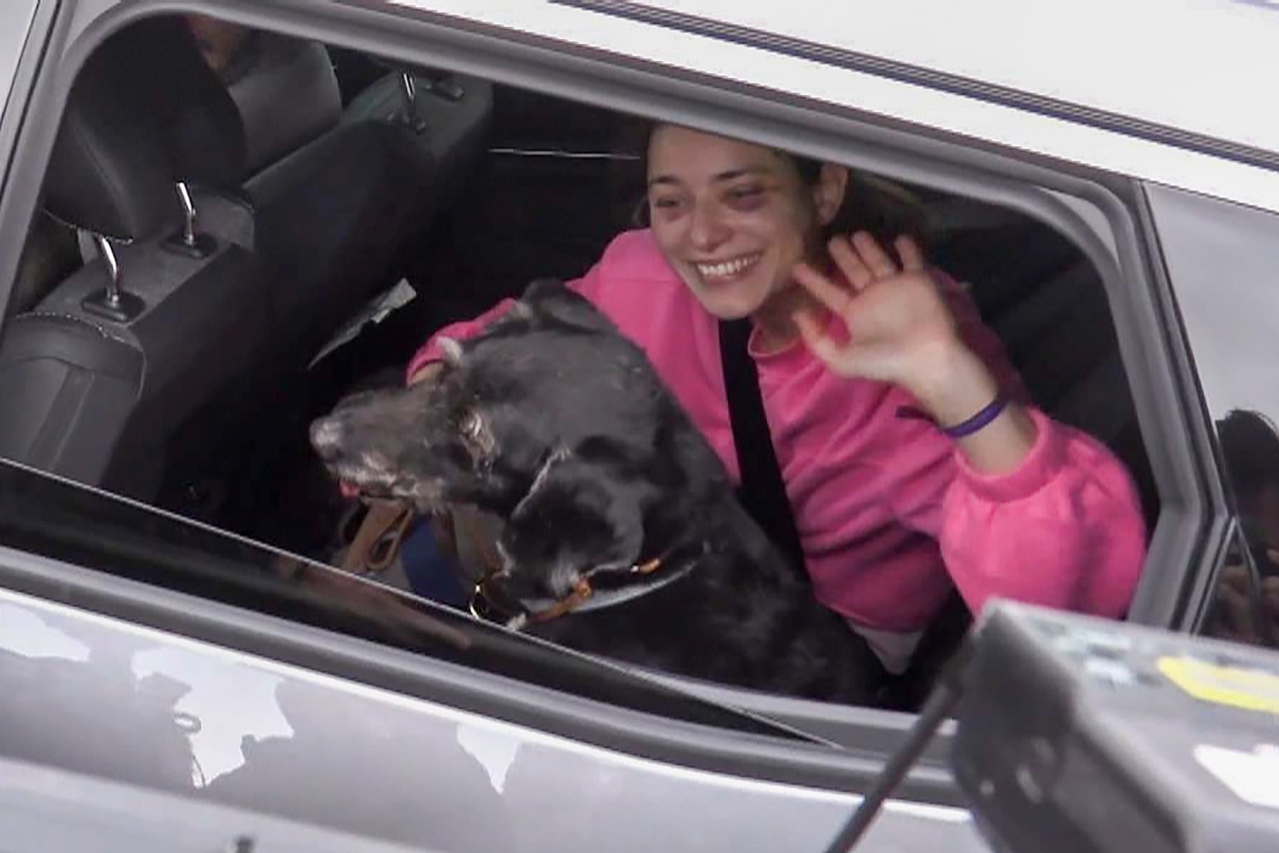 GRAF3152. CÓRDOBA, 22/01/2026.-Captura de EFETV de 'Boro', el perro de una de las heridas en el accidente de trenes de Adamuz (Córdoba) del pasado domingo, ha sido finalmente encontrado y rescatado este jueves después del llamamiento efectuado por la familia de la dueña y su búsqueda por varios servicios y particulares.-EFE/