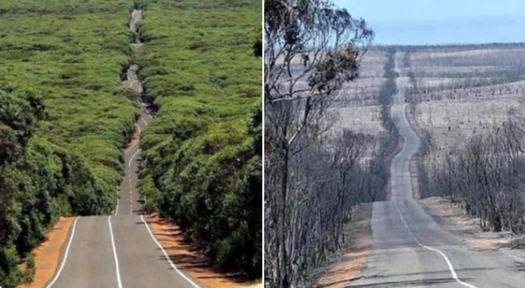 La imagen del paisaje antes de después del paso de las llamas. 