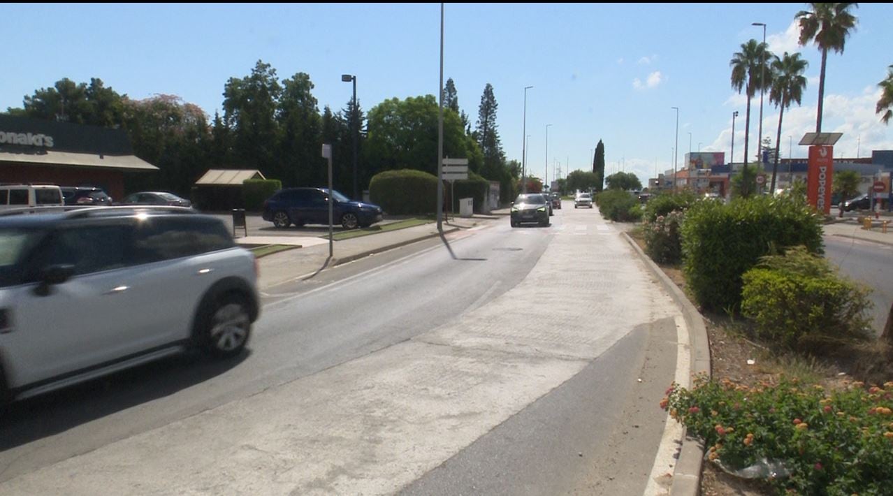 Estado de la avenida Blasco Ibáñez de Gandia en la actualidad.