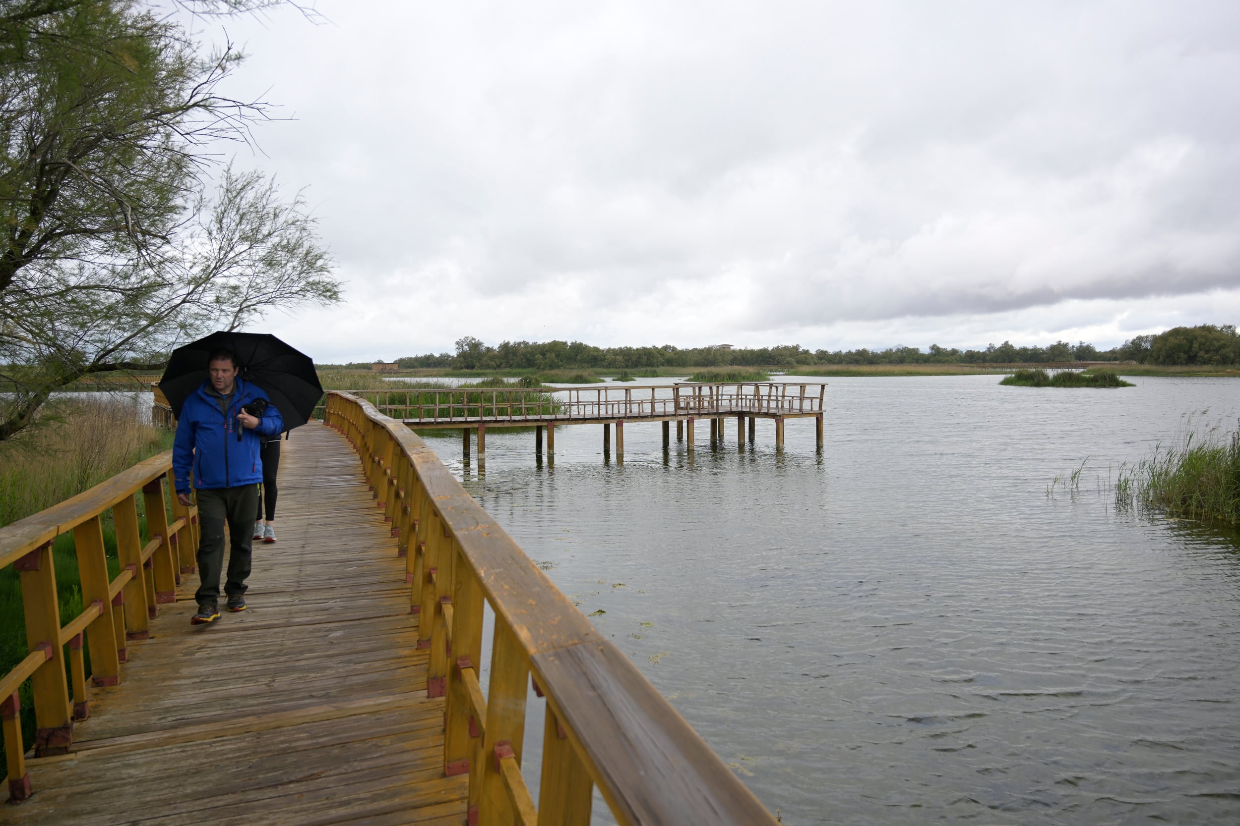 DAIMIEL (CIIUDAD REAL), 27/04/2024.- El Parque Nacional de Las Tablas de Daimiel, considerado a nivel internacional como uno de los humedales más importantes de España, ha alcanzado las 623 hectáreas inundadas, gracias a los aportes que está recibiendo del río Gigüela, cuyo cauce ha vuelto a ver circular el agua, tras el carrusel de borrascas que se registraron durante la pasada Semana Santa.EFE/ Jesús Monroy
