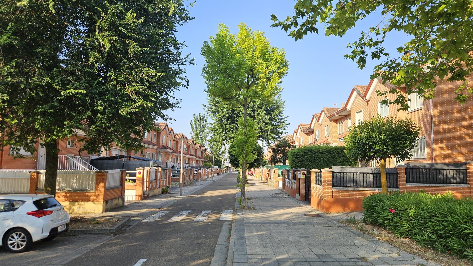 El objetivo es renovar por completo 17 calles