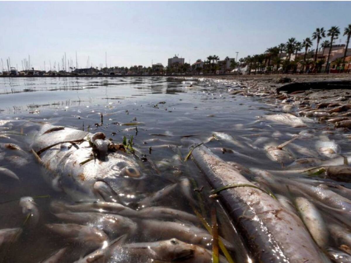 El Mar Menor es nuestro