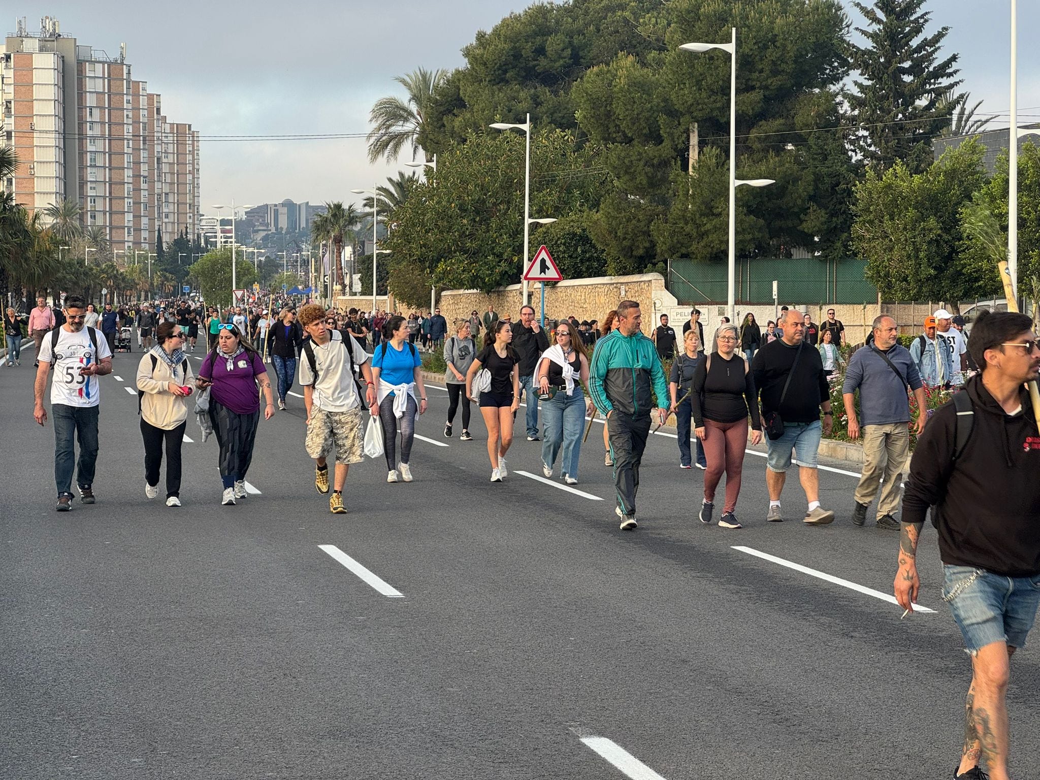 Peregrinos a la Santa Faz 2026