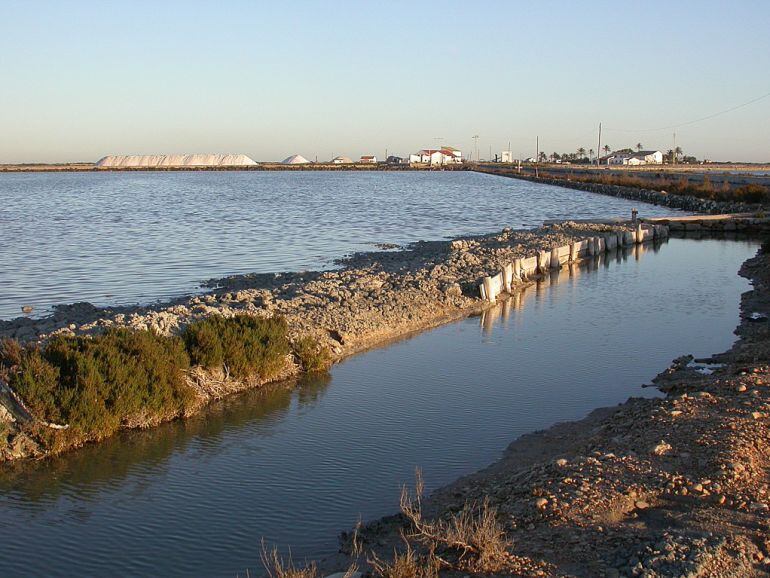 Salinas de Santa Pola