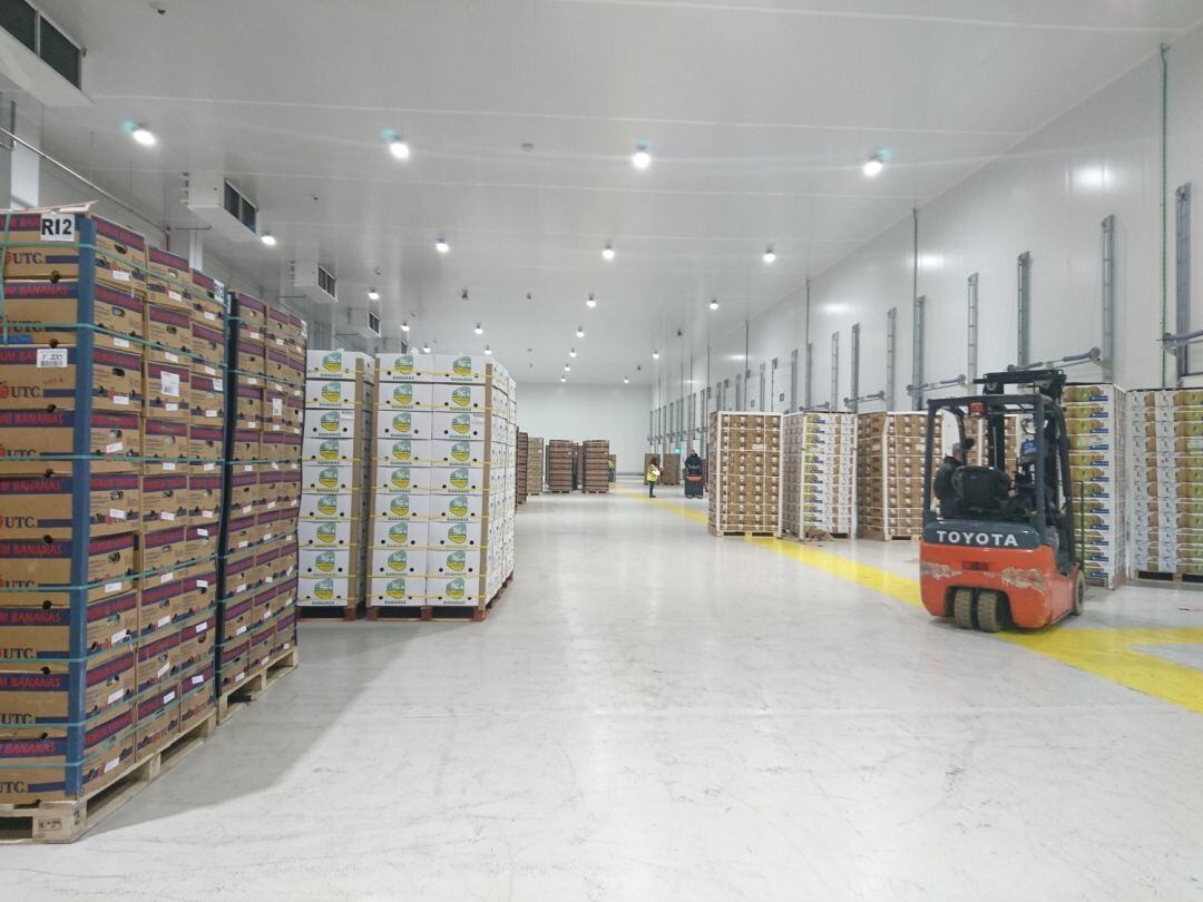 Instalaciones reefer de Agromerchants en Algeciras.