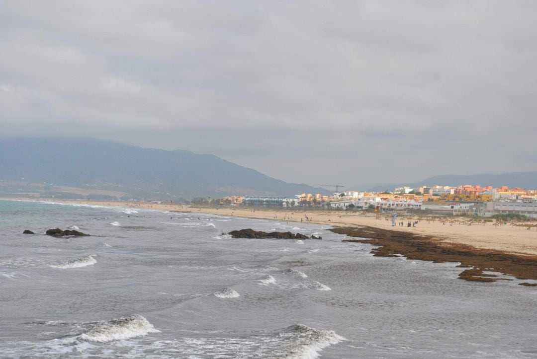 Una playa de Tarifa repleta de algas en su orilla.