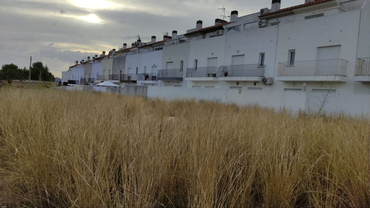 Un solar de L'Alcúdia de Crespins (Fuente: PSPV)