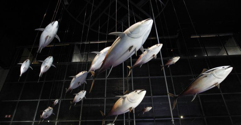 Caixafòrum Lleida acull l'exposició "Mediterrani. El nostre mar com mai l'has vist".