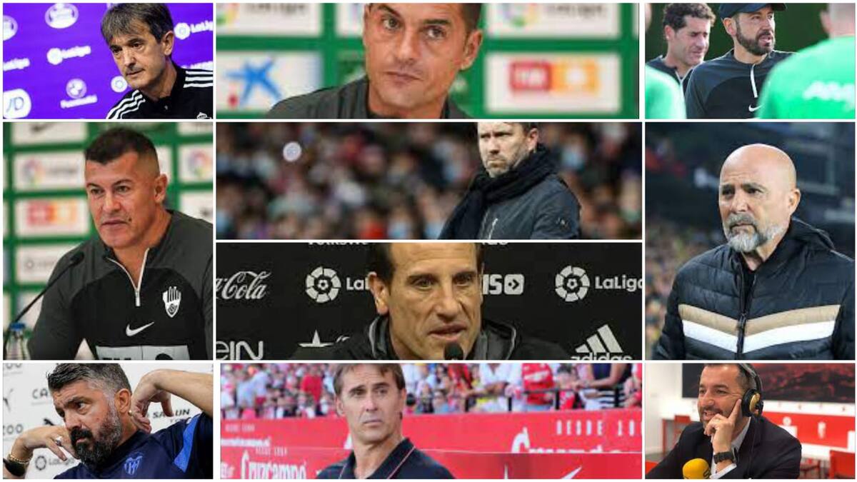 Los entrenadores en Primera División caen como moscas.