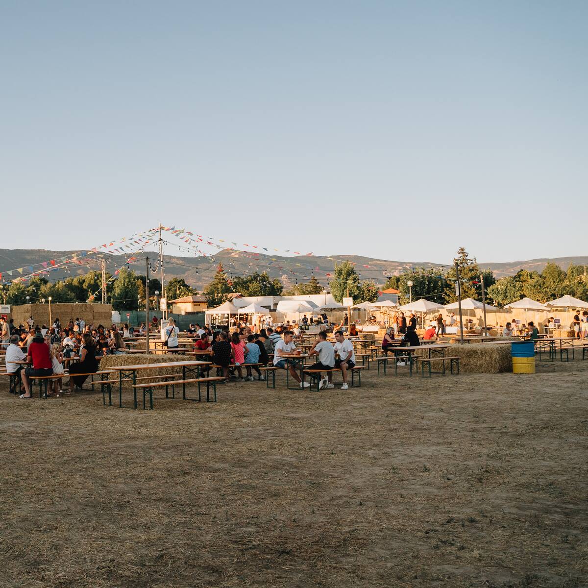 Cierre por todo lo alto de la primera edición del festival Brizna de Ayerbe