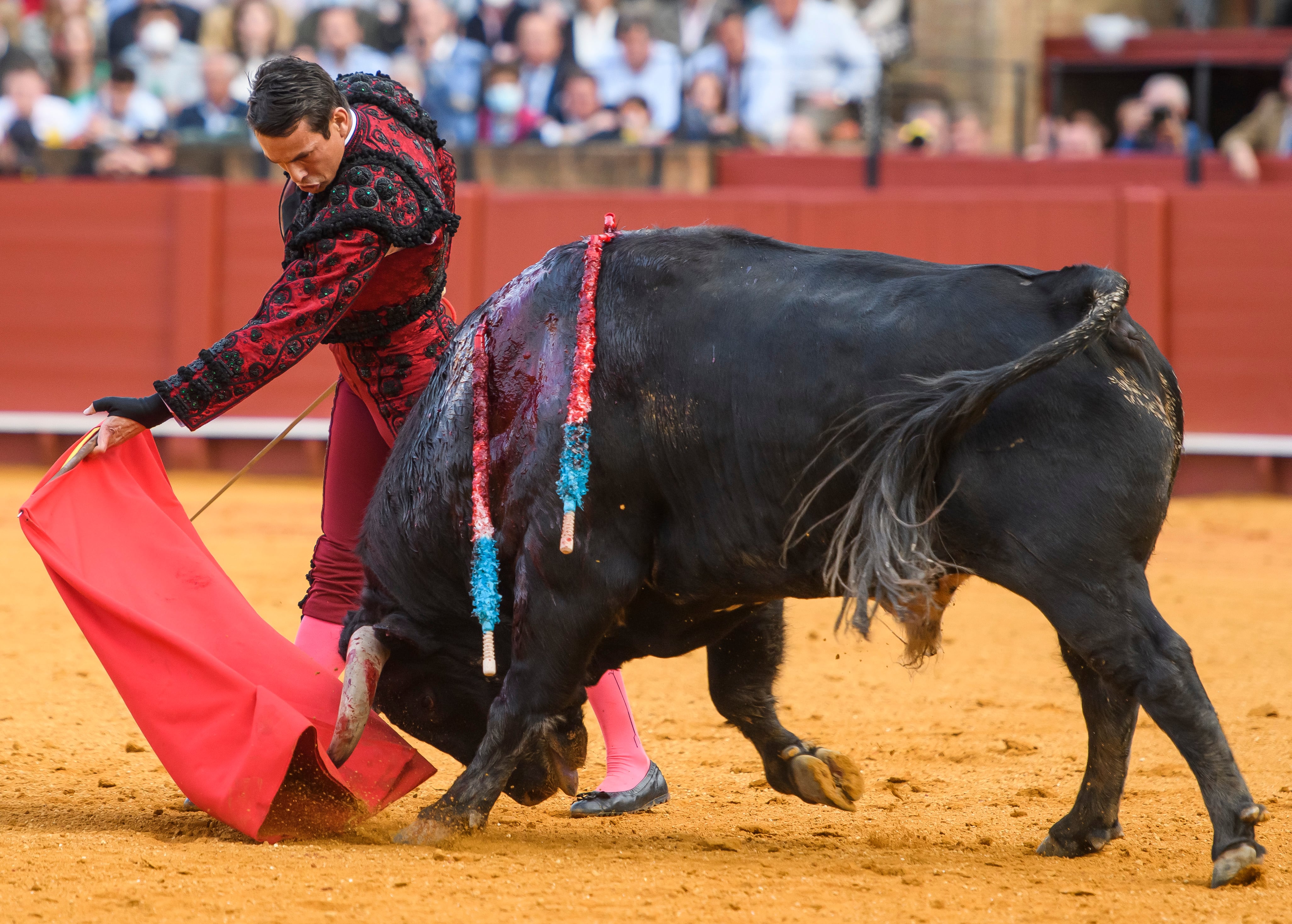 SEVILLA. 04/05/2022.- El diestro José María Manzanares en su faena durante el festejo celebrado hoy miércoles en la Plaza de La Maestranza de Sevilla. EFE/ Raúl Caro.
