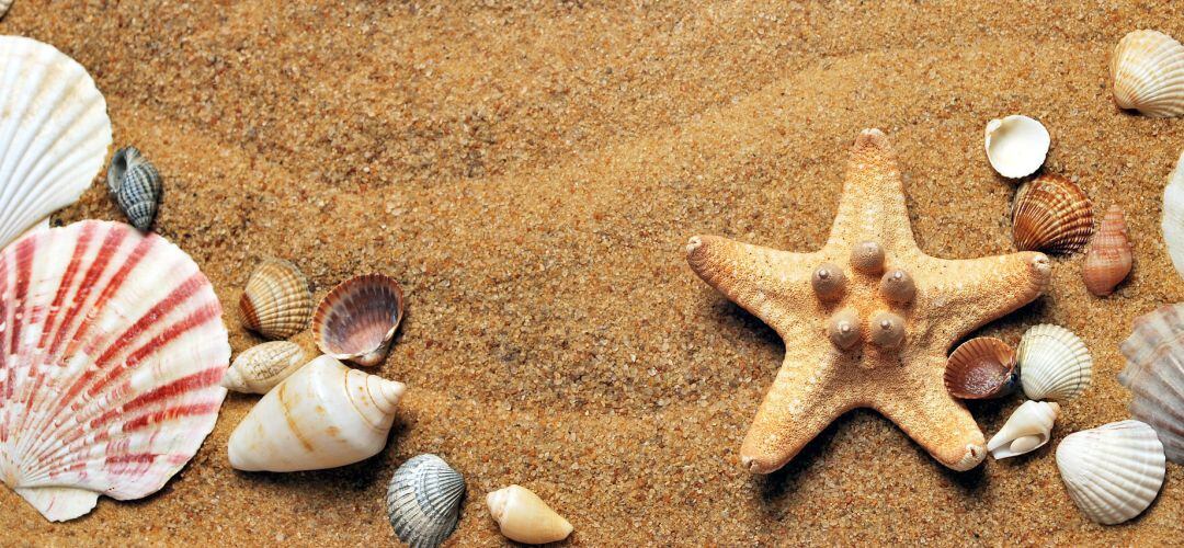 Las actividades no cesan este 15 de julio