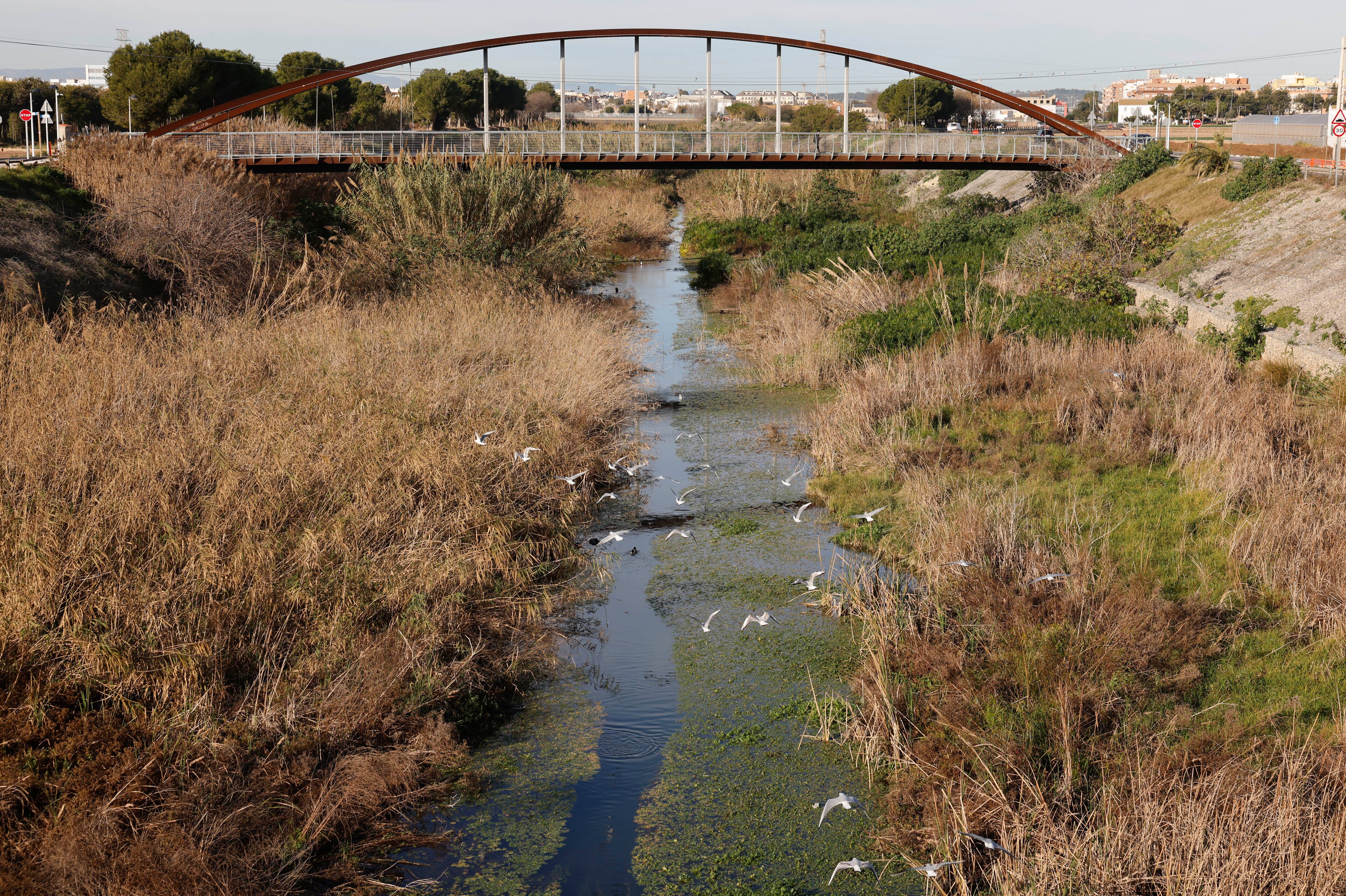 ALBORAYA (VALENCIA) 08/01/2025.- Vista general del barranco del carraixet a su paso por Alboraya este miércoles. El ayuntamiento de Alboraya y la Confederación hidrográfica del Jucar tratarán hoy el mantenimiento y la limpieza del barranco El Ayuntamiento de Alboraya y la Confederación Hidrográfica del Júcar tratan este miércoles sobre la limpieza y el mantenimiento del Barranco del Carraixet. EFE/ Ana Escobar