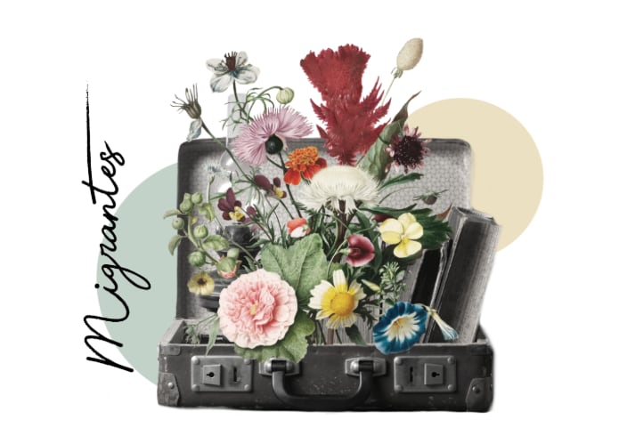 Informe “Miradas Diversas”