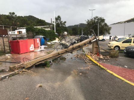 Han caido postes y árboles por la fuerza del viento