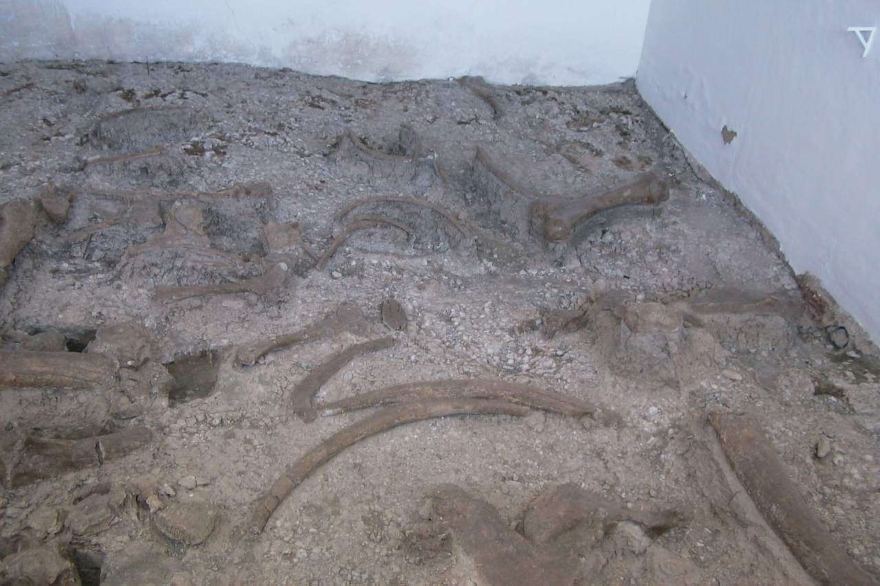 Restos arqueológicos de los yacimientos sorianos.